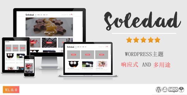 WordPress免费响应式多用途多功能主题Soledad-第1张-boke112百科(boke112.com)
